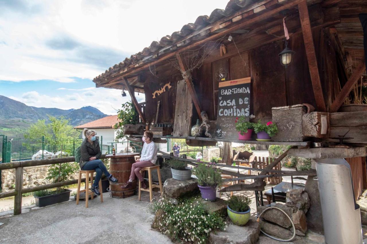 Casa Les Pedroses Daire Campiellos Dış mekan fotoğraf